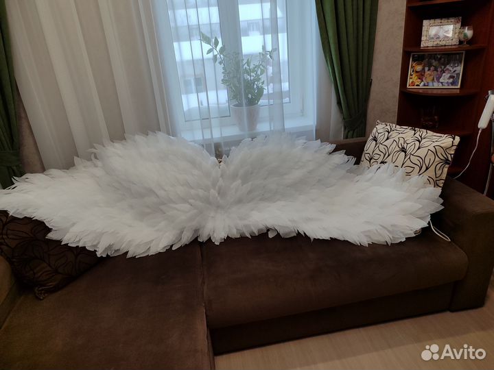 Крылья ангела