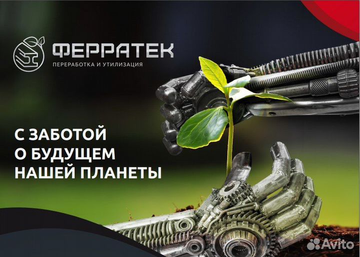Региональный представитель компании