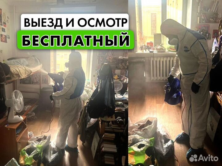 Дезинфекция. Уничтожение клопов, тараканов, блох