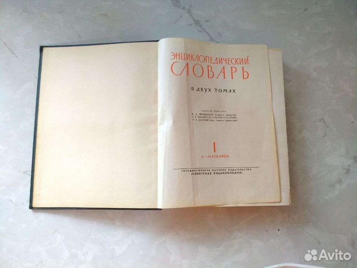Энциклопедический словарь.В двух томах