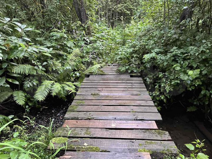 Дача 48 м² на участке 20 сот.