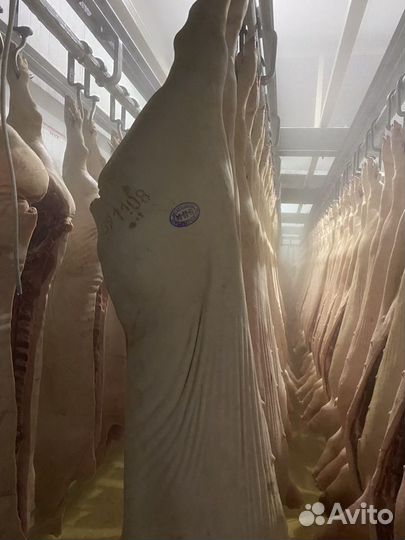 Мельниково. Мясо свинина в полутушах