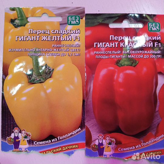 Петуния кустовая