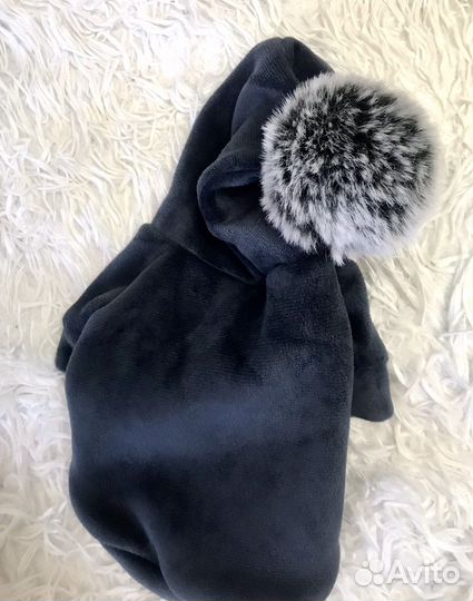 Одежда для собак чихуахуа