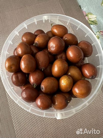 Плоды зизифуса