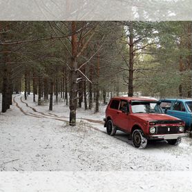 ВАЗ (LADA) 4x4 (Нива) 1.6 MT, 1980, 50 000 км