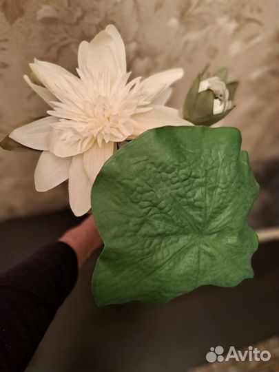 Искусственный гиппиаструм из икеа