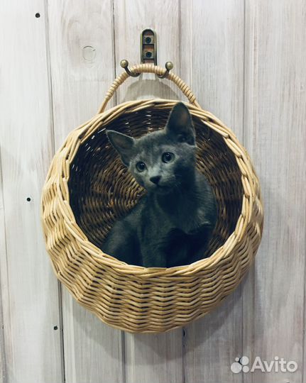 Плетеные корзины. Дорбаскет. Подвесная корзина