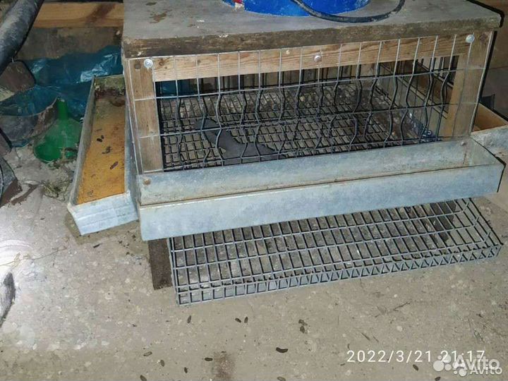 Клетки для перепелов