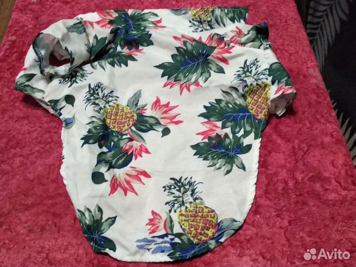 Продам одежду для собак