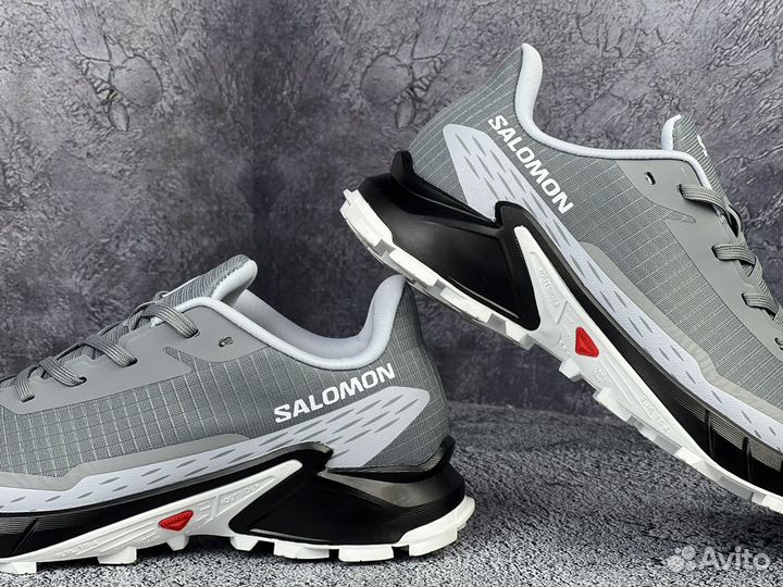 Кроссовки Salomon Alpha cross 5