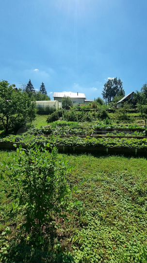 Дом 187,7 м² на участке 28,6 сот.