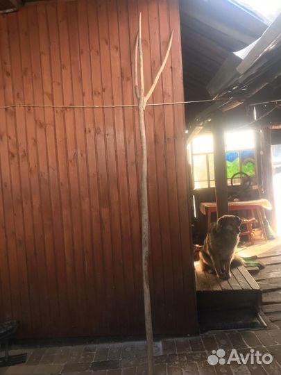 Вилы деревянные, старинные