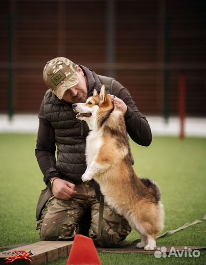 Вязка