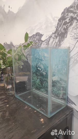 Аквариум, отсадник