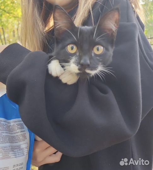 Кашка в дар