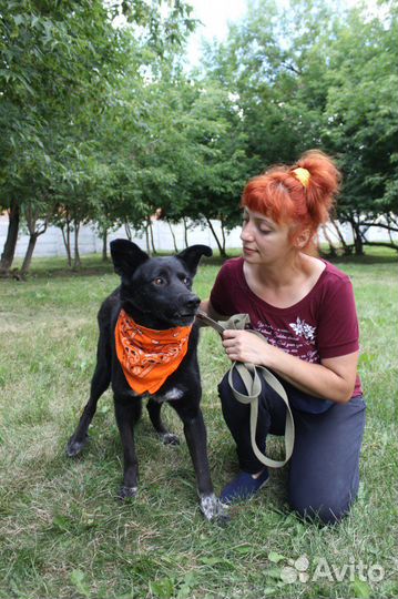 Красавец черныш Грант ждет своих родителей