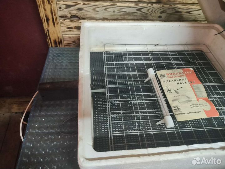 Инкубатор для яиц автоматический бу