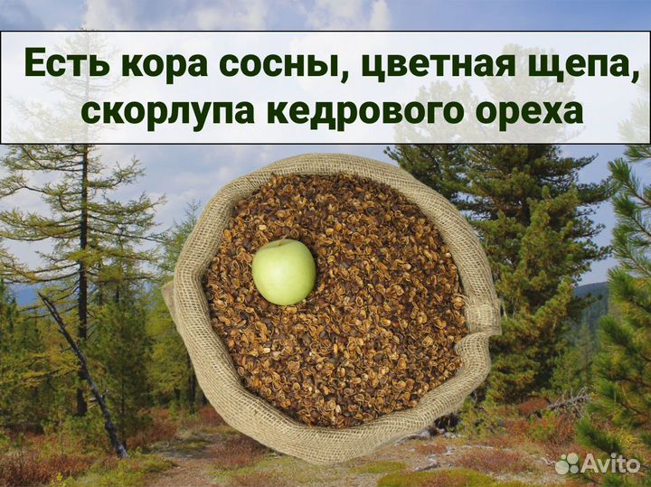 Мульча из скорлупы ореха для декора клумбы