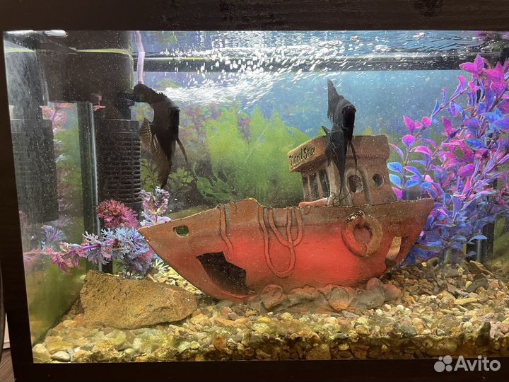 Аквариум 20 л