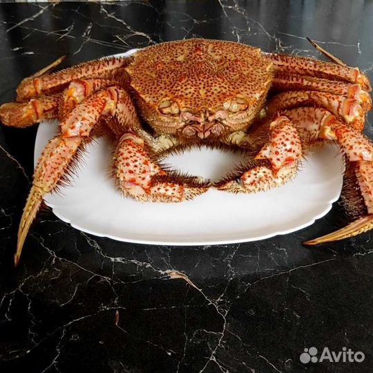 Краб Камчатский,Стригун,Волосатик,Сёмга,Икра щуки