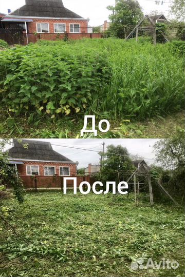 Покос Травы, Спил Деревьев, Расчистка участка