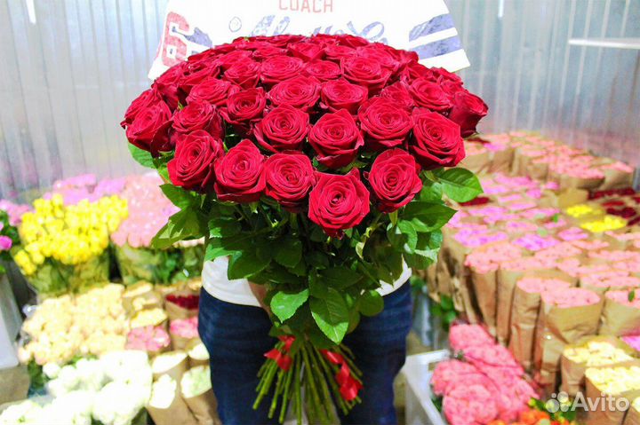 Розы 35 штук 70 см