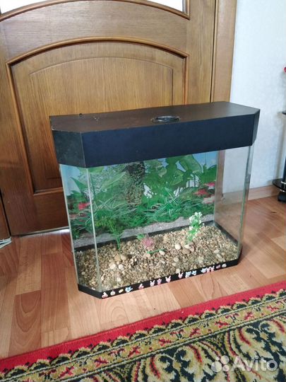 Аквариум