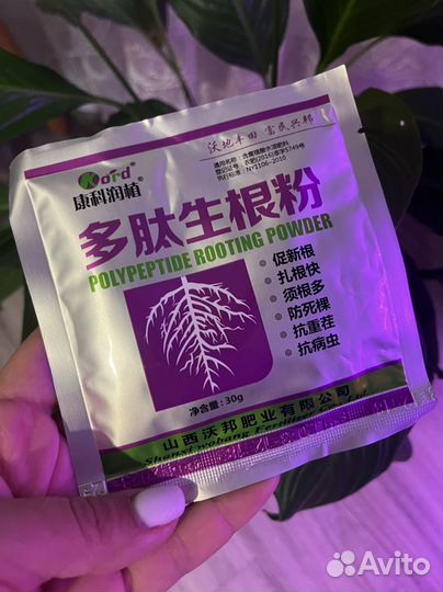 Корневой стимулятор тайланд