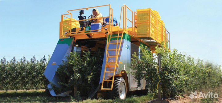 Комбайн OXBO 7440, 2024