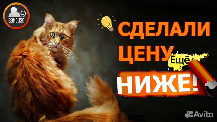 Материнская плата Asrock H81M-Vg4 на Lga1150