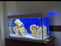 Камень песчаник для аквариума