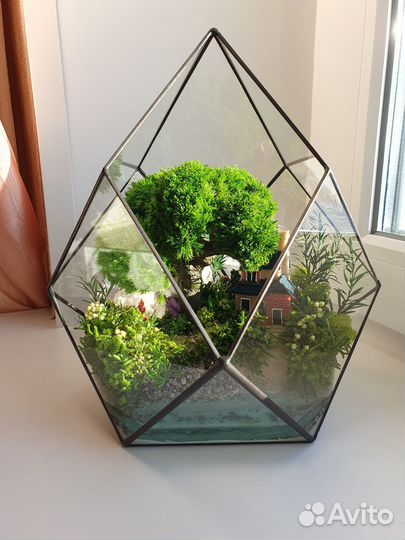 Флорариум моссариум