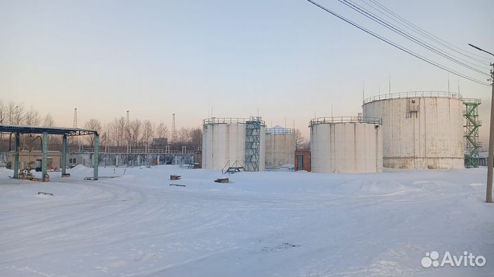 Дизельное топливо оптом