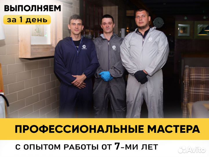 Уничтожение клопов, тараканов. Дезинфекция