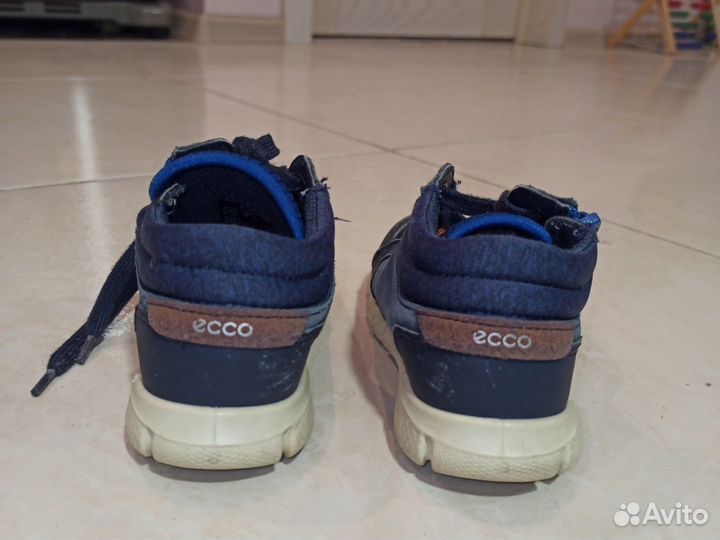 Кроссовки Ecco детские 24