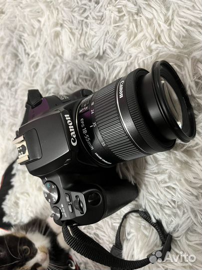 Зеркальный фотоапарат canon Canon EOS 250D