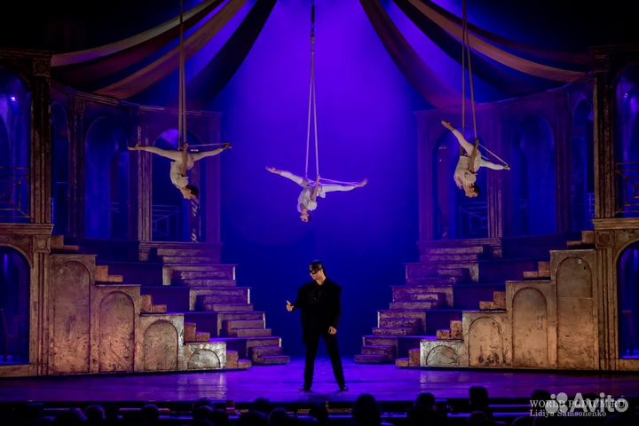 Билеты на мюзикл Принцесса Цирка