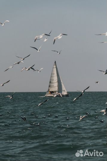 Морские прогулки яхта