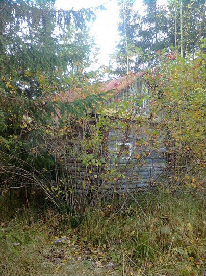 Участок 24 сот. (СНТ, ДНП)