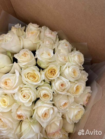 Пионовидные розы