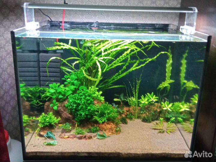 Аквариум 120л