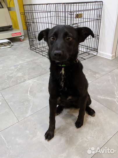 Спасите малышку