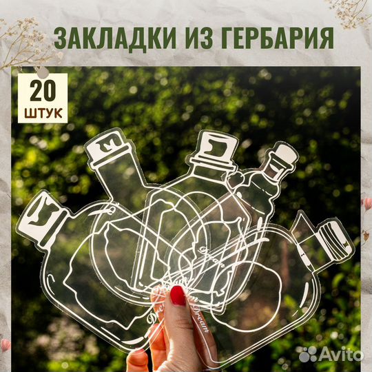 Креативные прозрачные закладки из гербария