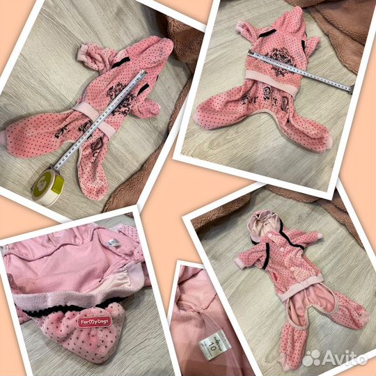 Одежда для собак limargy,LV,ForMyDogs, doggy dolly
