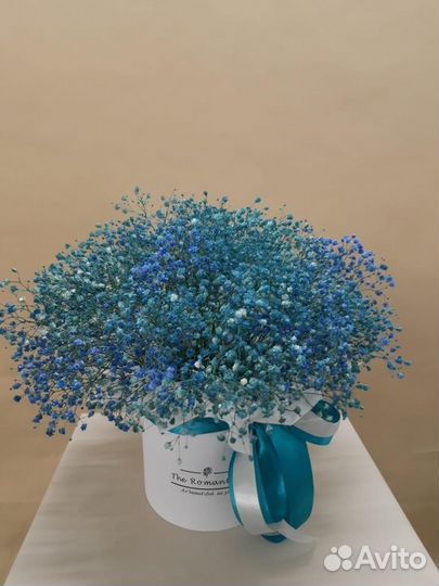 Гипсофила с доставкой