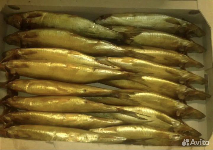 Рыба морская свежемороженеая и холодного копчения