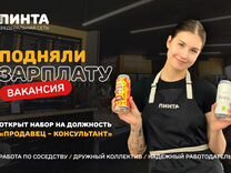 Продавец - консультант