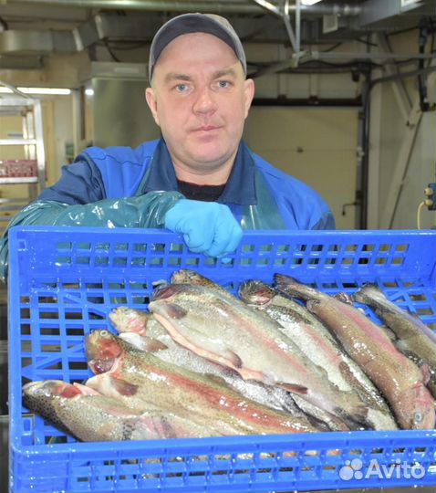 Помощник рыбовода