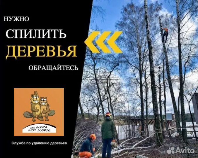 Спил деревьев обрезка веток корчевание пней